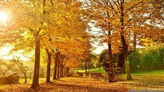 Wallpaper Countryside Autumn In Italy Resolution Widescreen