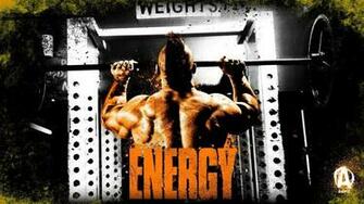 Animal Pak Wallpaper