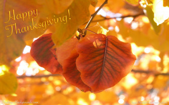 Cute Thanksgiving Wallpaper For Desktop