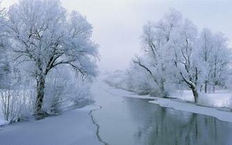 Wallpaper Background Cold Winter Frozen Trees Desktop Snow Lake