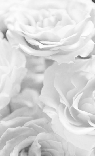On Grey Aesthetics Black And White Picture Wall
