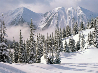Winter Background
