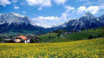 France Landscape Flower Farm Wallpaper City