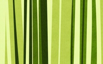 Texture Green Bamboo