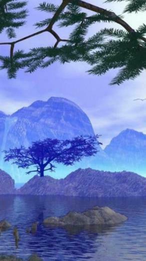 Nature Nexus Wallpaper HD And Background