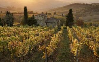 Panzano Chianti Tuscany Italy Hq Wallpaper