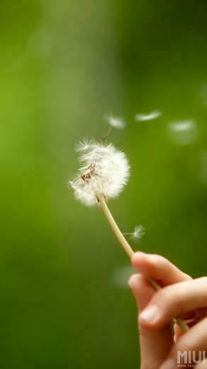 Lumia Stock Wallpaper Zip Mb