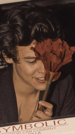Harry Styles Aesthetic Wallpaper
