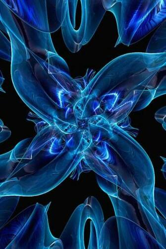 Flower iPhone Wallpaper HD Retina
