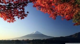 Autumn Mount Fuji Japan Wallpaper