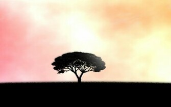 Loneliness Background HD Wallpaper High Quality