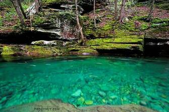 This Small Stream S So Clear It Looks Like A Swimming Pool In