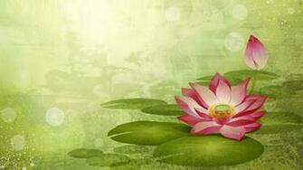 Lotus Flowers Wallpaper