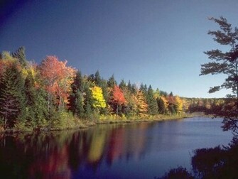 The Colors Of Autumn Wallpaper