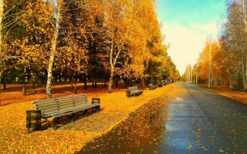 Sunny Autumn Day Wallpaper Stock Photos