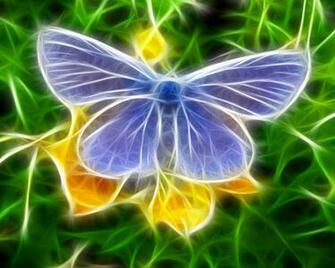 Wallpaper Background Butterfly HD 3d