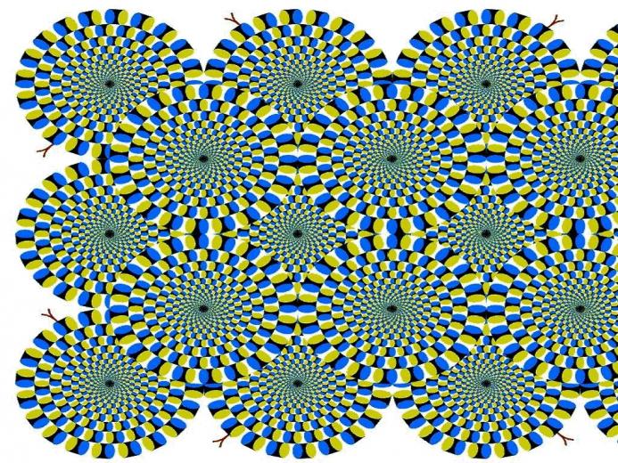Optical Illusions Only For
