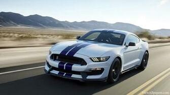 Wallpaper Mustang Shelby Gt350