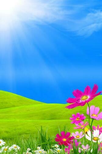 Spring iPhone Wallpaper HD