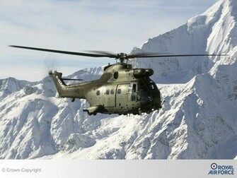 Raf Puma