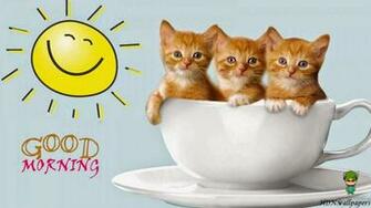 Posted By Soniya Khan At