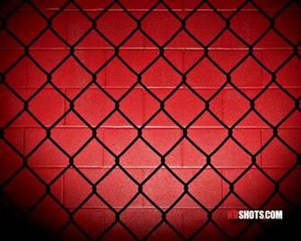 Best Octagon Wallpaper