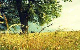 Nature Jpg