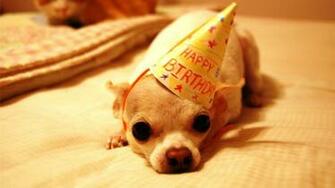 The Perfect BirtHDay Party Red Garter Karaoke Live Music
