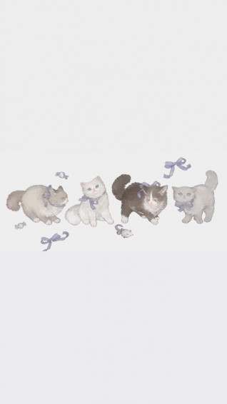 Maru On Wallpaper