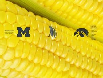 Maize Wallpaper At Wallpaperbro
