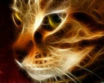 Pictures 3d Graphics Cat Desktop Wallpaper And