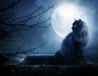 Full Moon Black Cat Desktop Wallpaper