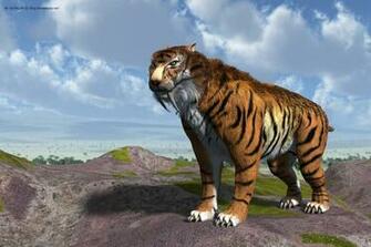 Sabertooth Tiger Smilodon Fatalis By Ndelphi