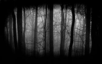 Dark Forest