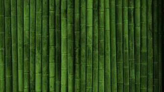 High Resolution Bamboo Plant Background HD Nature Wallpaper