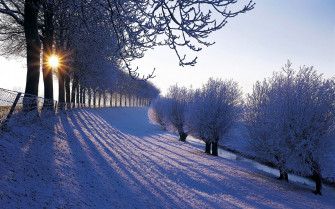 Winter Snow Wallpaper