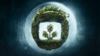 High Definition Wallpaper Of Figure Plant Photo Land