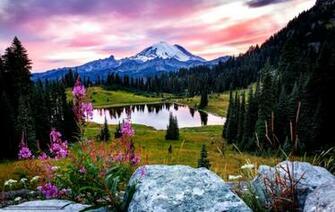 Mount Rainer National Park Wallpaper Android