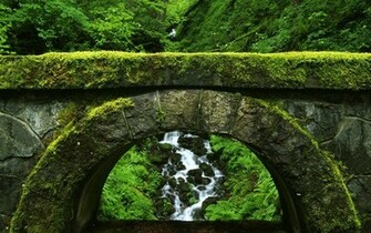 Pacific Northwest Wallpaper