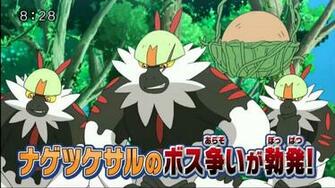 Red Passimian With A Scar Pok Mon Sun And Moon Know Your Meme