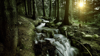 Full HD Wallpaper