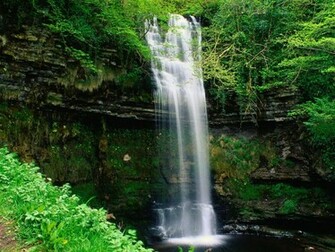 Animals S Waterfalls Wallpaper Waterfall Desktop