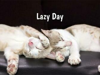 Lazy Day In When Where Why How Is Celebrated