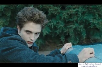 Which Twilight Character Are You