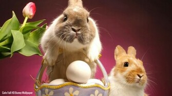 Wallpaper Easter Bunny Full HD 1080p High Definition