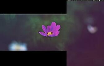 Dual Monitor Wallpaper Windows High Definition