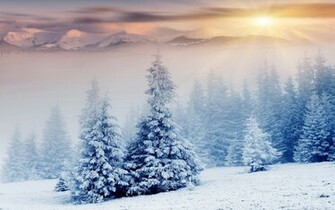 File Name Beautiful Winter Snow Wallpaper Jpg