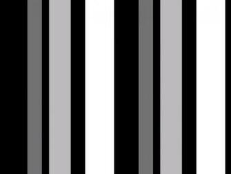Monochrome Background Wallpaper Background Jpg