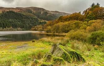 Wallpaper Autumn Forest Grass Trees Mountains Clouds Lake