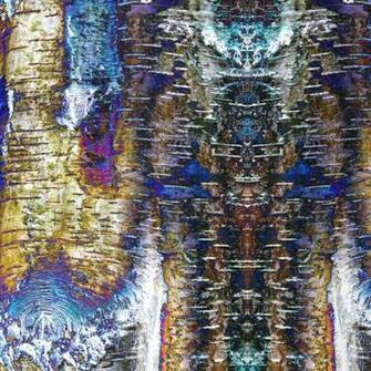 Silver Birch Bark Cenobite By Aegiandyad